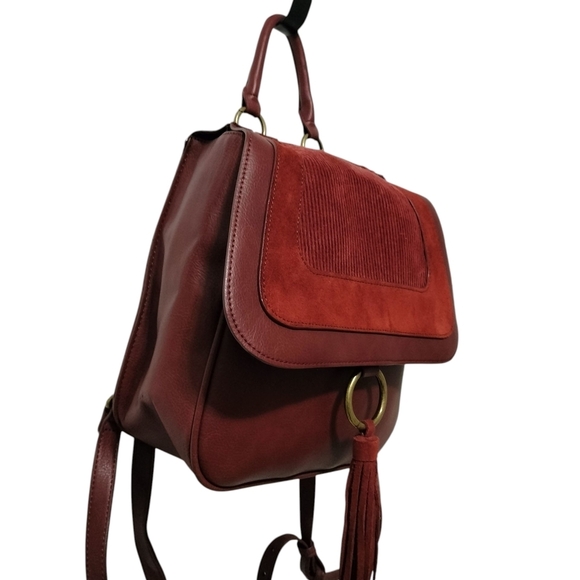American Eagle Outfitters Burgundy and Dark Brown Backpack